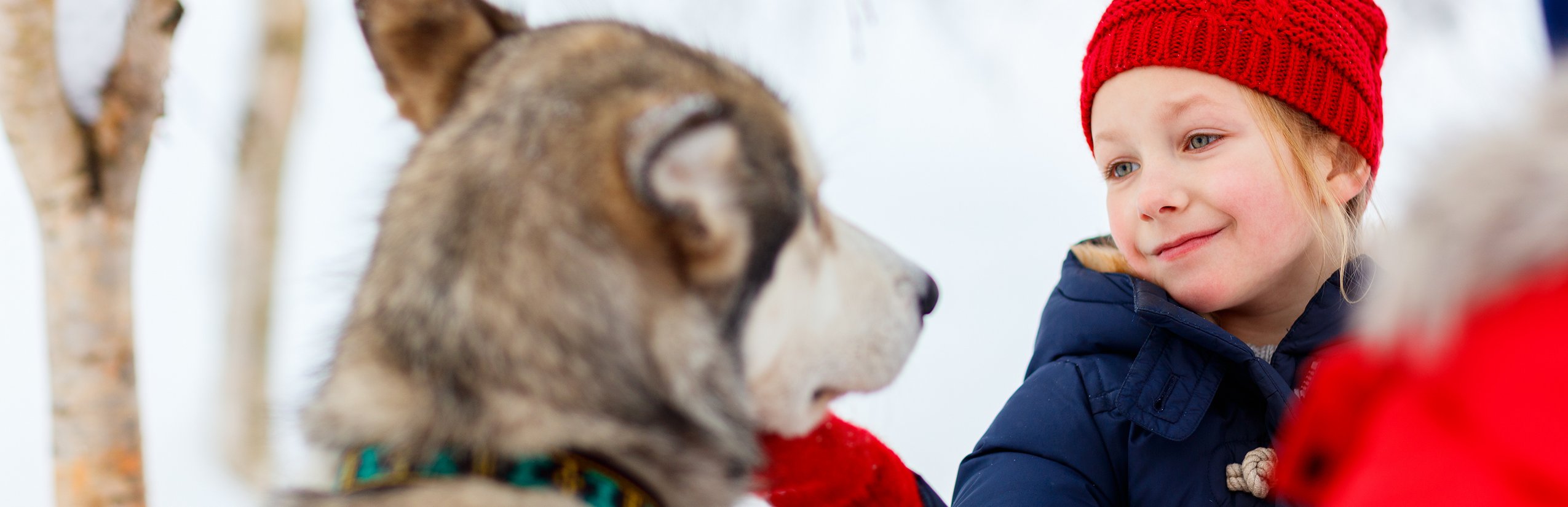 Estland for family Winter - Mädchen mit Schlittenhund