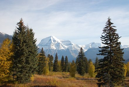 Westkanada for family individuell - Familienreise in Westkanada mit Kindern - Mount Robson und Tannen