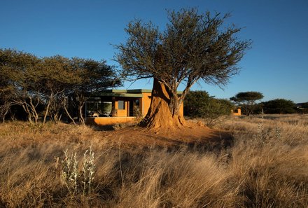 Namibia Deluxe Familienreise -  Okonjima Plains Camp - Überblick des Camps