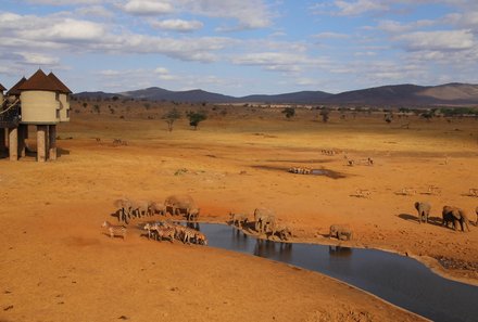 Kenia Familienreise - Kenia for family individuell - Strand & Buschabenteuer - Tierbeobachtungen am Wasserloch der Salt Lick Lodge