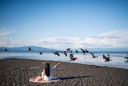 Westkanada for family individuell - Familienurlaub Kanada - Strand mit Vögeln in Parksville