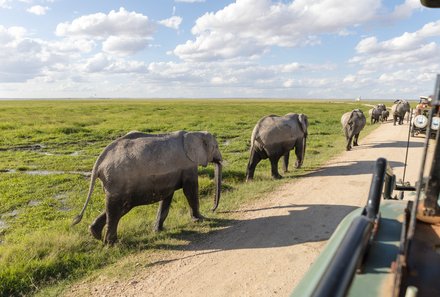 Kenia Familienreise - Kenia for family individuell - Best of Safari & Chale Island - Safari im Amboseli Nationalpark - Elefanten am Jeep