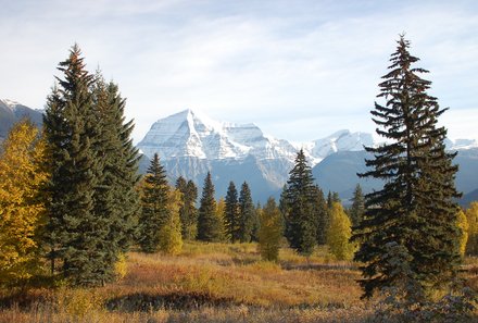 Westkanada Camping for family - Rocky Mountains mit Kindern - Rocky und grüne Tannen