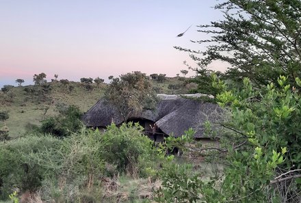 Serengeti mit Kindern individuell - Best of Familiensafari Serengeti - Grumeti Hills Camp Zelt