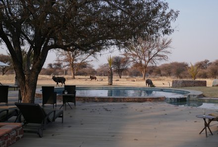 Namibia mit Kindern - Namibia for family individuell - Otjiwa Safari Lodge - Pool