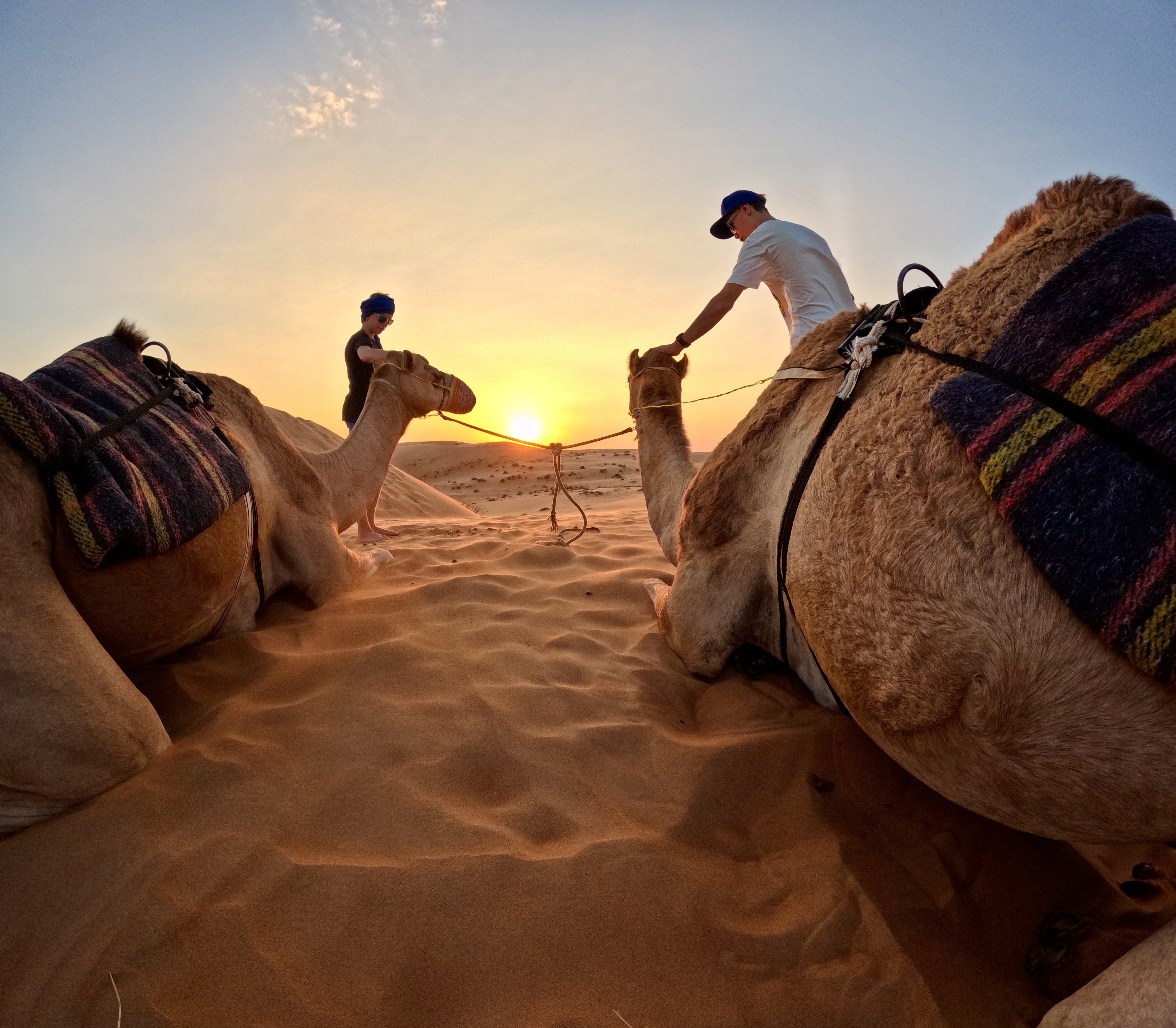 Reisebericht Oman mit Kindern - Wüste mit Kindern - Kamele