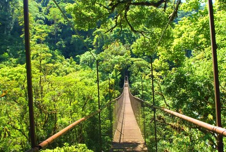Panama for family individuell - Panama Familienreise - Hängebrücke im Regenwald