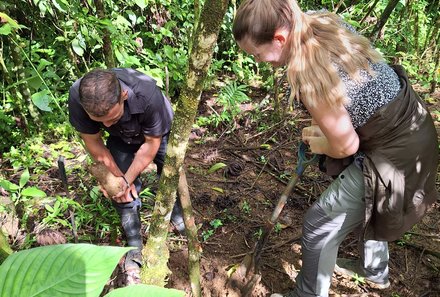 Familienurlaub Costa Rica - Costa Rica Abenteuer Regenwald und Karibik - La Tigra - Svenja Fiestelmann pflanzt Baum