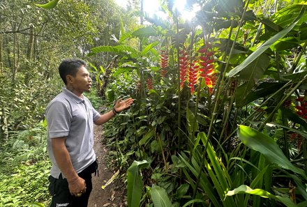 Bali mit Jugendlichen - Java & Bali Family & Teens - Flora Munduk Walk