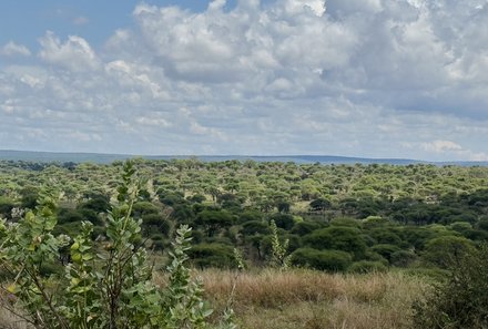 Tansania Familienreise - Tansania for family individuell - Familienabenteuer Tansania - Landschaft Tarangire