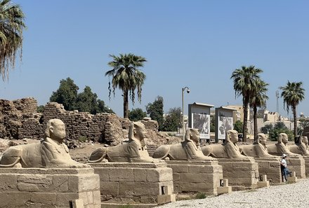 Familienreise Ägypten - Ägypten for family - Luxor Tempel