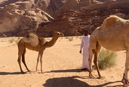 Jordanien Rundreise mit Kindern - Wadi Rum - Kamele