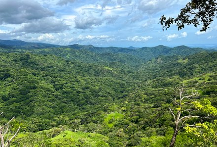 Familienurlaub Costa Rica - Costa Rica Abenteuer Regenwald und Karibik - Santa Elena - Nebelwald Monteverde