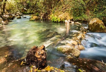 Andalusien for family - Familienreise Andalusien - El Bosque Fluss