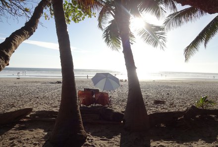 Costa Rica for family individuell - Natur & Strand pur in Costa Rica - Strand mit Palmen
