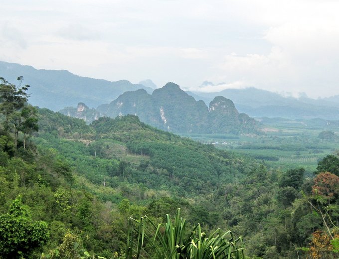 Thailand for family individuell - Individualreise Thailand Familie - Khao Sok Nationalpark Panoramablick