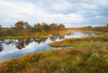 Estland Familienreise - Estland for family - Landschaft im Soomaa Nationalpark