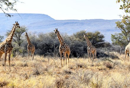 Namibia Deluxe Familienreise -  Windhoek - Natur und Tiere