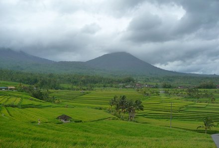 Bali for family deluxe - Familienreise Bali mit Kindern - Jatiluwih Reisterrassen mit Berg