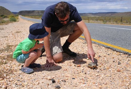 Familienreise Südafrika mit Kindern - Garden Route for family individuell deluxe - Schildkröte am Straßenrand