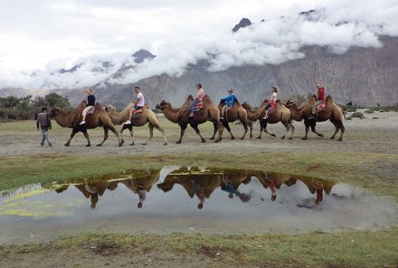 Familienreise Ladakh - Ladakh Teens on Tour - Kamelritt bei wunderschöner Kulisse 