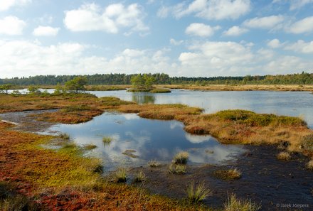 Estland Familienreise - Estland for family - Soomaa Nationalpark