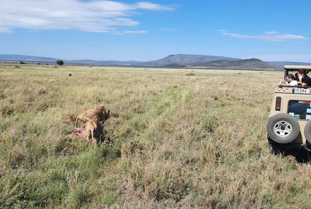 Tansania Familienreise - Tansania Family & Teens - Serengeti Nationalpark - Beobachtung Tiere bei Pirschfahrt