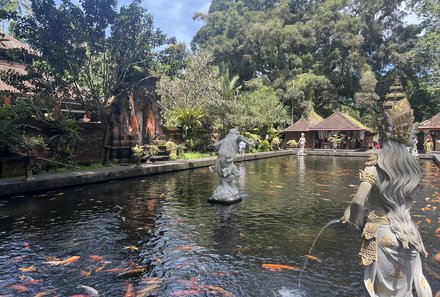 Bali mit Kindern - Bali for family - Kois im Wasser