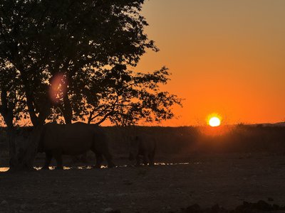 Namibia Family & Teens - Sonnenuntergang