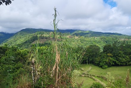 Familienurlaub Costa Rica - Costa Rica for family - La Tigra - Aussicht beim Baumpflanzen