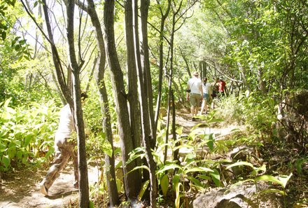 Madagaskar Familienreise - Madagaskar Family & Teens - Spaziergang durch das Anja-Lemurenreservat
