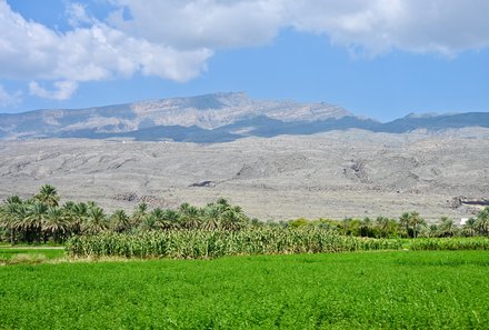 Oman Familienreise - Oman Family & Teens - Landschaft um Al Hamra