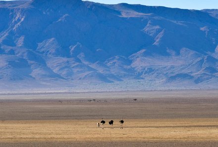 Namibia Deluxe Familienreise individuell - Sossusvlei - Landschaft