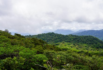 Familienurlaub Costa Rica - Costa Rica Abenteuer Regenwald und Karibik - Blick über Nebelwald Monteverde