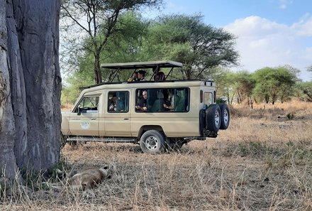 Serengeti mit Kindern individuell - Best of Familiensafari Serengeti - Gruppe auf Jeepsafari