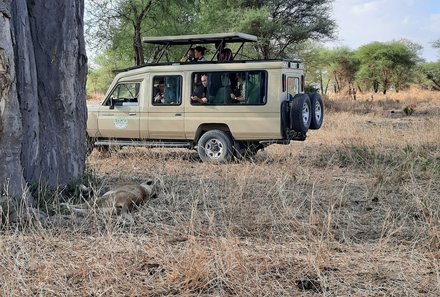 Tansania Familienurlaub - Tansania Family & Teens - Jeepsafari Tarangire Nationalpark