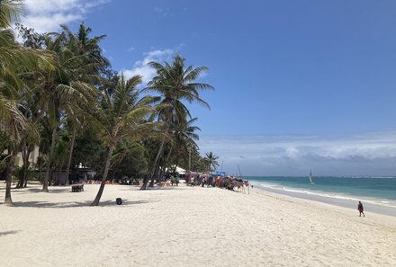 Kenia Familienreise - Kenia for family individuell deluxe - Diani Beach - Palmen am Strand