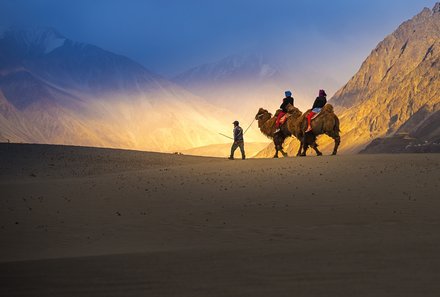 Ladakh mit Kindern - Ladakh Familienreise - Kamelreiten in der Wüste