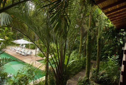 Costa Rica for family Deluxe - Familienreise in Costa Rica - Pool mit Palmen im Le Cameleon 