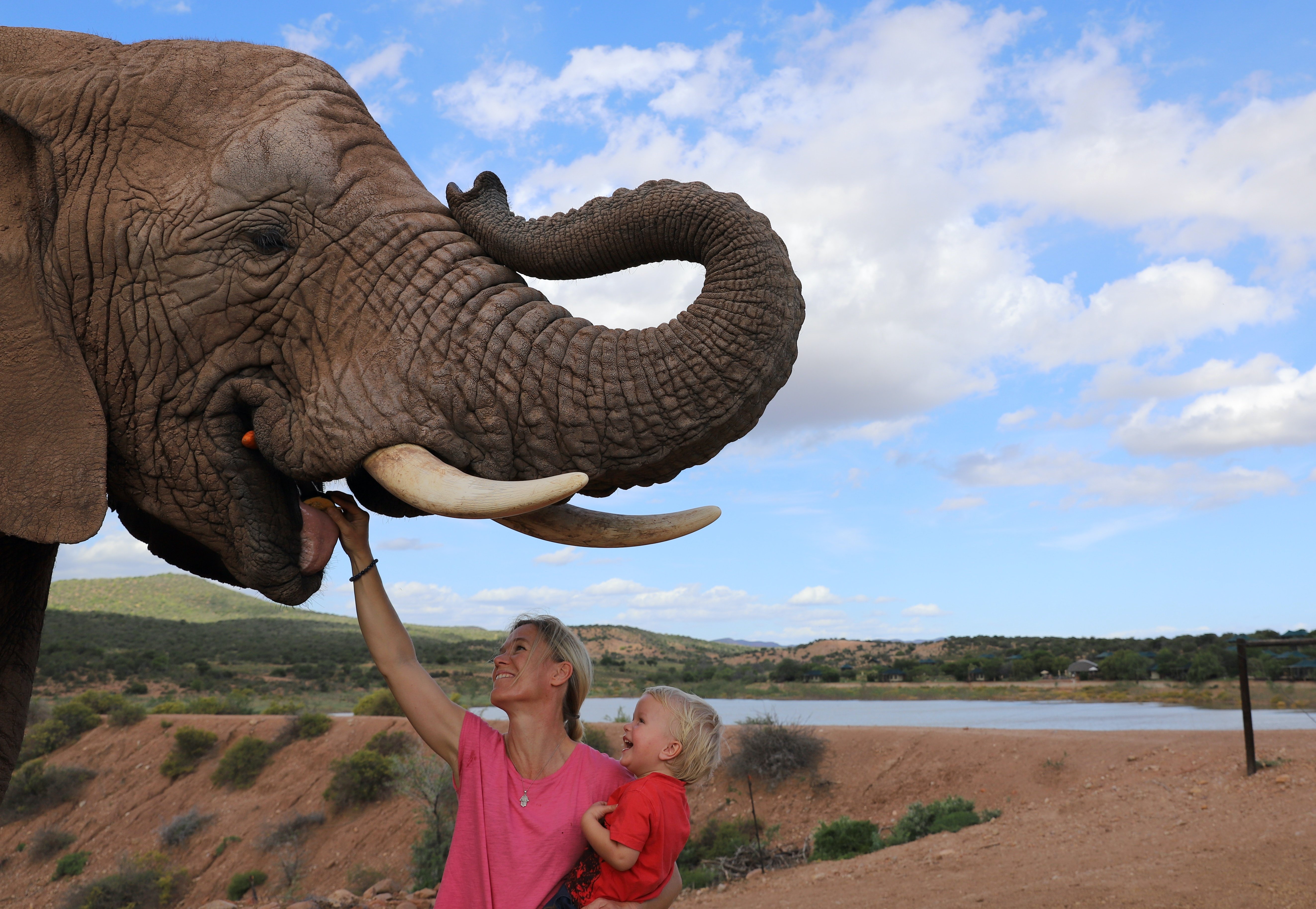 Fernreise mit Kindern - Fernreiseziele mit Kindern - Südafrika