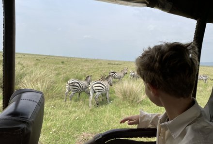 Kenia Familienreise - Kenia for family individuell - Zebras bei Pirschfahrt