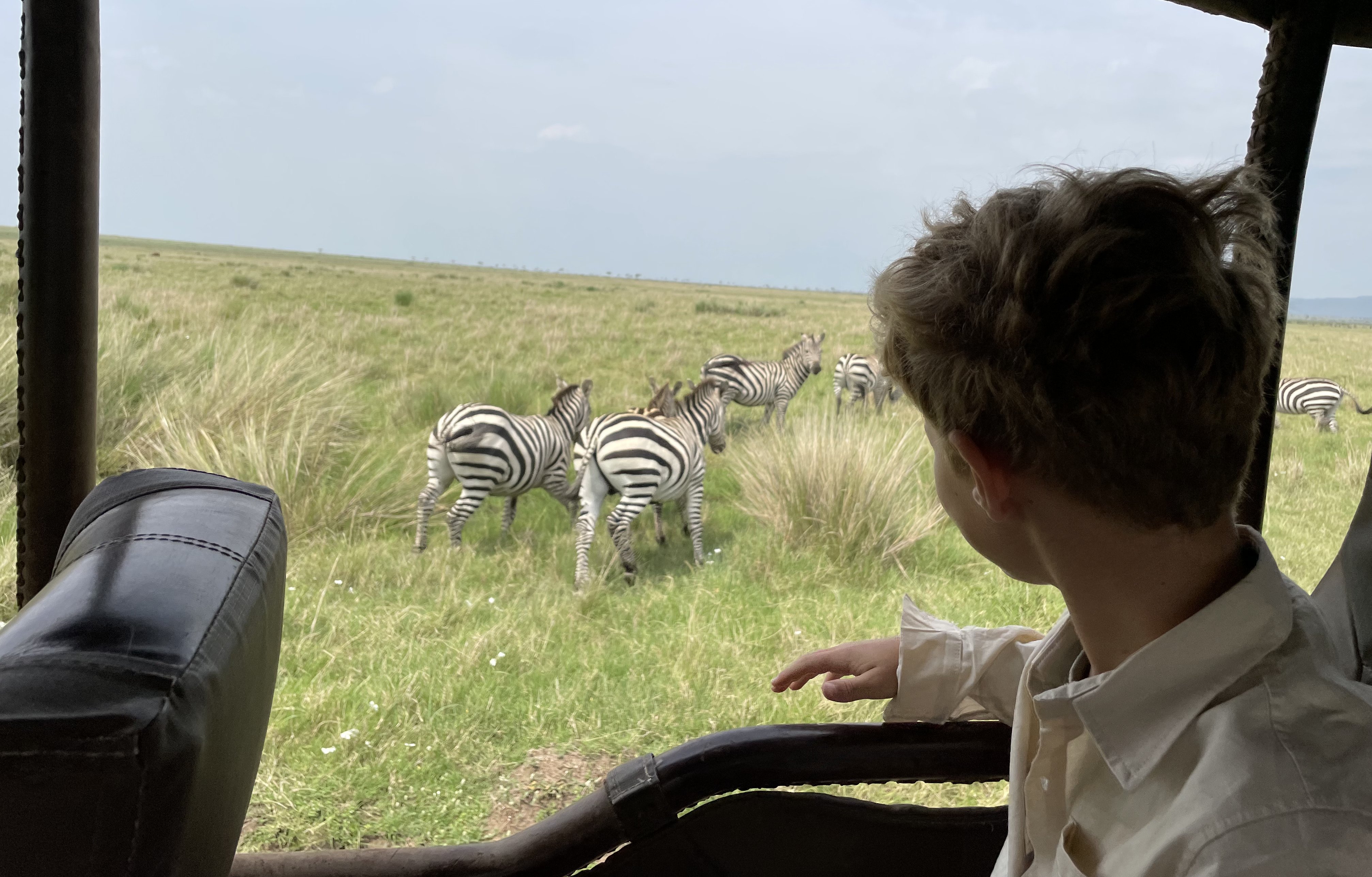 Kenia Familienurlaub - Kenia Familienreise - Kind auf Safari zu Zebras