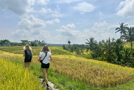 Bali mit Kindern - Bali for family - Spaziergang bei den Jatiluwih Reisterrassen