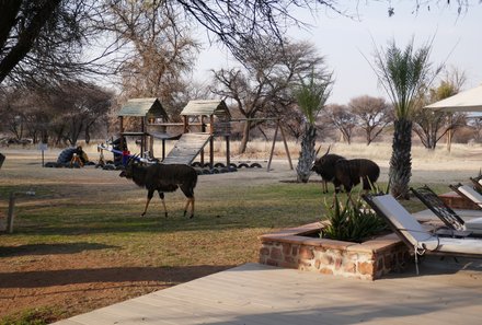 Namibia mit Kindern - Namibia for family - Otjiwa Safari Lodge - Garten