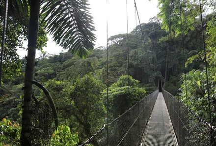 Costa Rica for family Junior - Costa Rica mit Kindern - Hängebrücke durch Regenwald