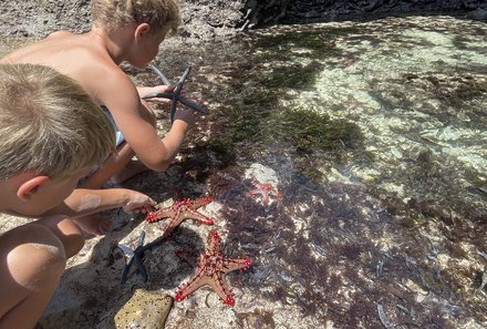 Kenia Familienreise - Kenia for family individuell - Chale Island Kinder finden Seesterne