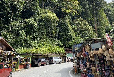 Familienurlaub Malaysia & Borneo - Malaysia & Borneo for family individuell - Cameron Highlands - Straße