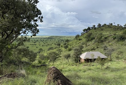 Serengeti mit Kindern individuell - Best of Familiensafari Serengeti - Grumeti Game Reserve - Grumeti Hills Camp - Grüne Umgebung