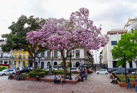 Panama mit Kindern - Panama Urlaub mit Kindern - Panama Stadt - Casco Viejo Altstadt