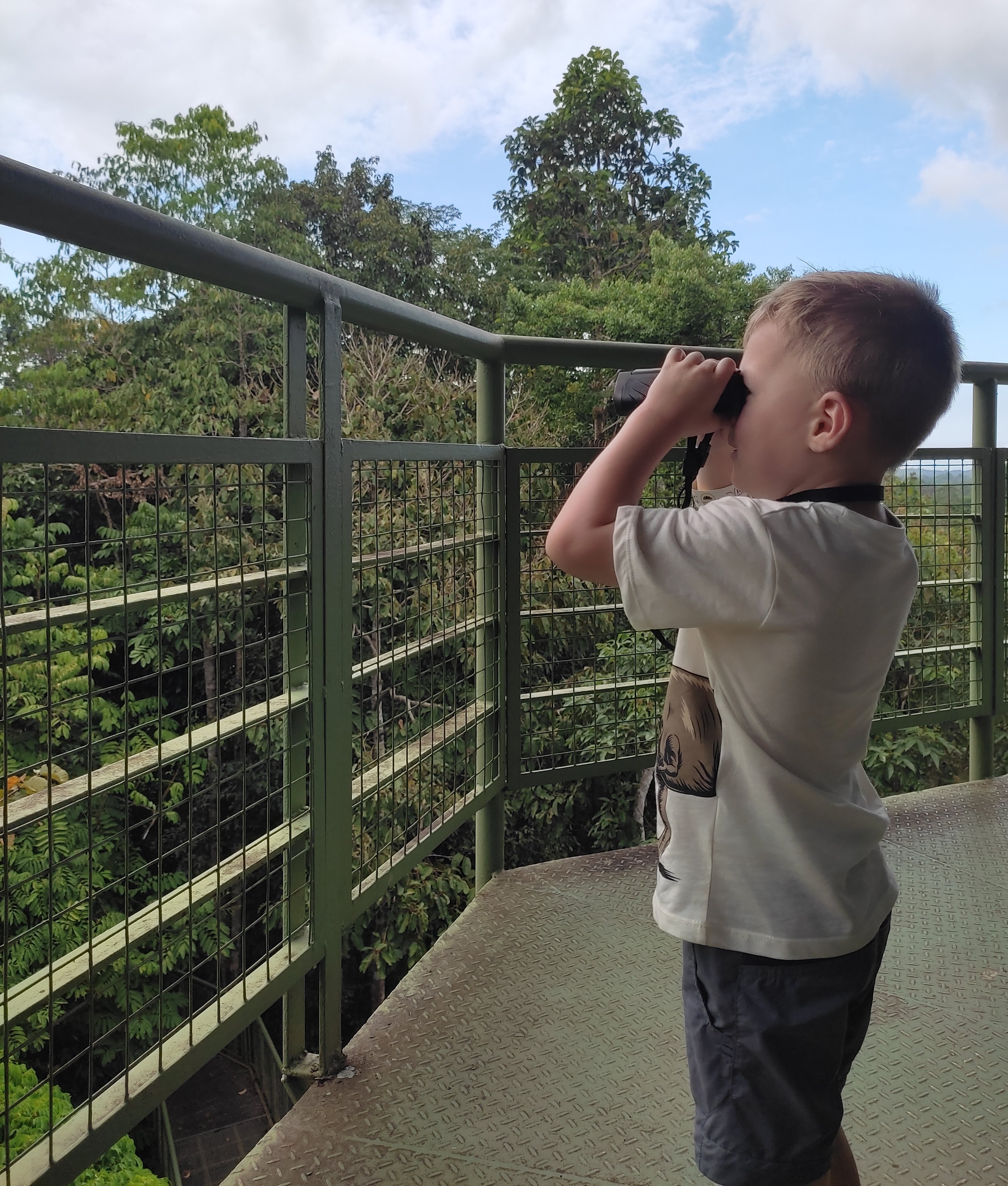 Borneo mit Kindern - Borneo mit Kindern Erfahrungen - Borneo Urlaub mit Kindern - Kind im Rainforest Discovery Centre